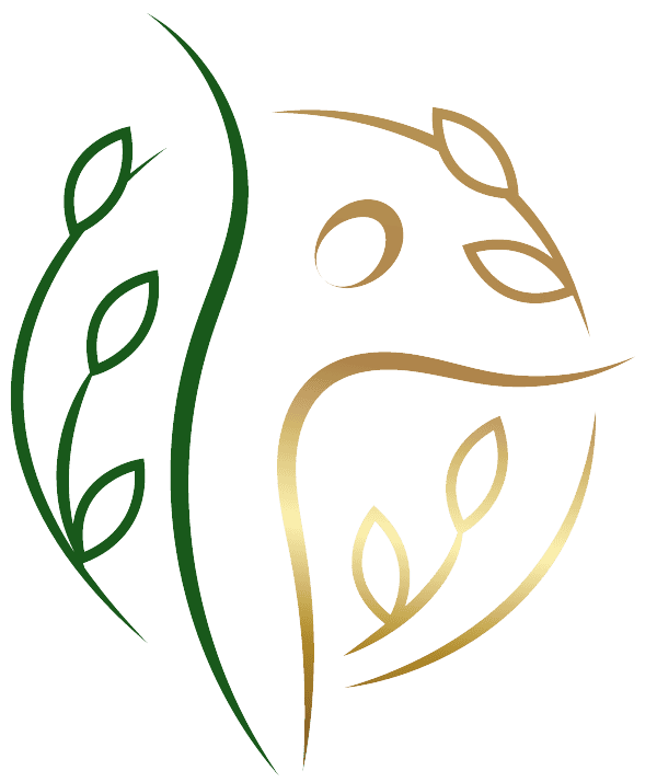 martina braun logo